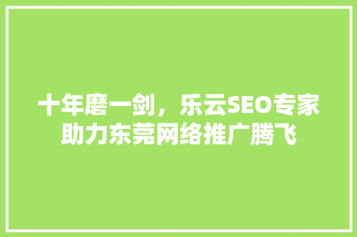 十年磨一剑，乐云SEO专家助力东莞网络推广腾飞