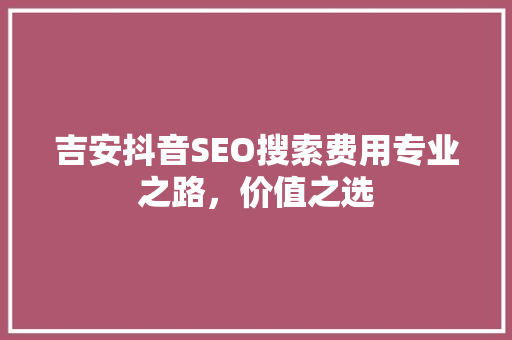 吉安抖音SEO搜索费用专业之路，价值之选