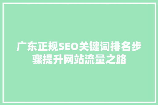 广东正规SEO关键词排名步骤提升网站流量之路