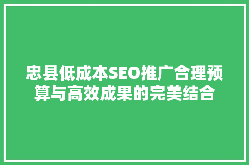 忠县低成本SEO推广合理预算与高效成果的完美结合