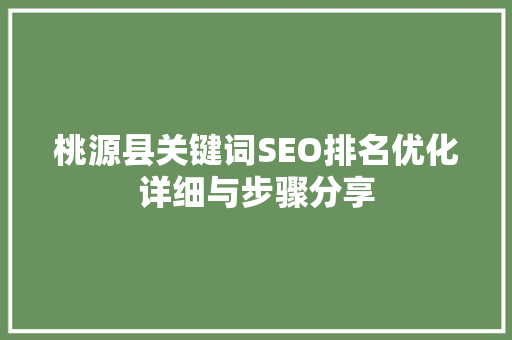 桃源县关键词SEO排名优化详细与步骤分享