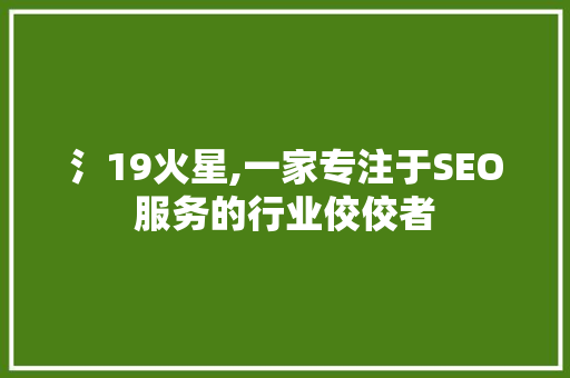 氵19火星,一家专注于SEO服务的行业佼佼者