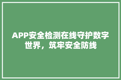 APP安全检测在线守护数字世界，筑牢安全防线  第1张