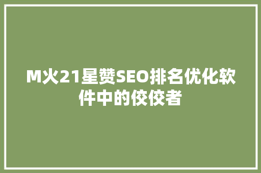 M火21星赞SEO排名优化软件中的佼佼者