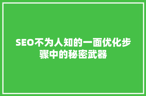 SEO不为人知的一面优化步骤中的秘密武器