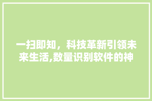 一扫即知，科技革新引领未来生活,数量识别软件的神奇魅力  第1张
