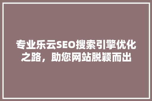 专业乐云SEO搜索引擎优化之路，助您网站脱颖而出