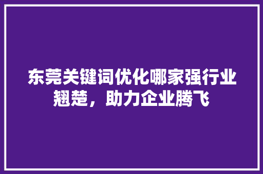 东莞关键词优化哪家强行业翘楚，助力企业腾飞  第1张