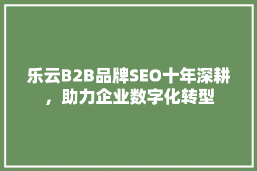 乐云B2B品牌SEO十年深耕，助力企业数字化转型