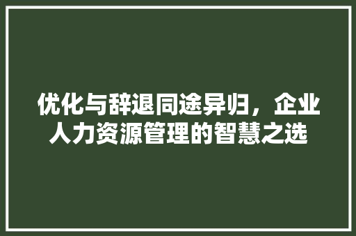 优化与辞退同途异归，企业人力资源管理的智慧之选