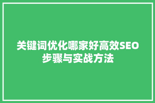 关键词优化哪家好高效SEO步骤与实战方法