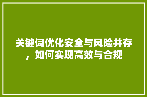 关键词优化安全与风险并存，如何实现高效与合规