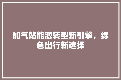 加气站能源转型新引擎，绿色出行新选择  第1张