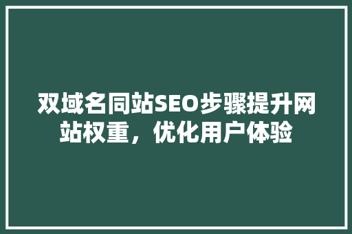 双域名同站SEO步骤提升网站权重，优化用户体验