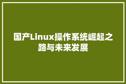 国产Linux操作系统崛起之路与未来发展  第1张