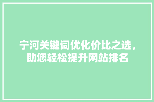 宁河关键词优化价比之选，助您轻松提升网站排名