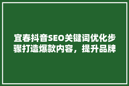 宜春抖音SEO关键词优化步骤打造爆款内容，提升品牌影响力