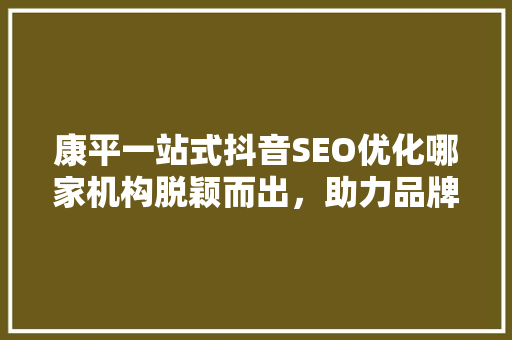 康平一站式抖音SEO优化哪家机构脱颖而出，助力品牌腾飞