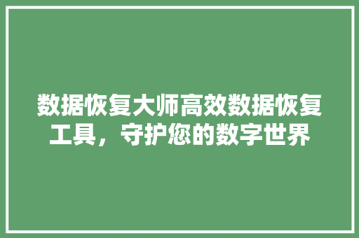 数据恢复大师高效数据恢复工具，守护您的数字世界  第1张