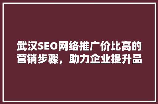 武汉SEO网络推广价比高的营销步骤，助力企业提升品牌知名度