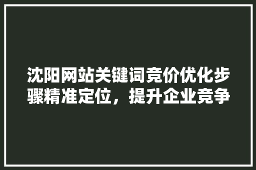 沈阳网站关键词竞价优化步骤精准定位，提升企业竞争力
