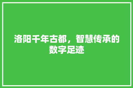 洛阳千年古都，智慧传承的数字足迹  第1张