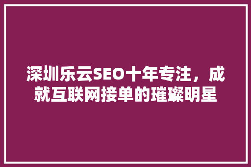 深圳乐云SEO十年专注，成就互联网接单的璀璨明星