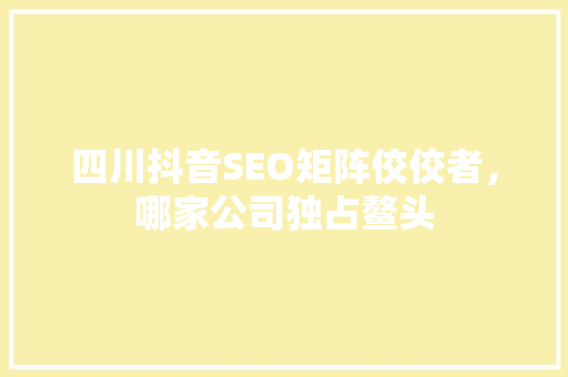 四川抖音SEO矩阵佼佼者，哪家公司独占鳌头
