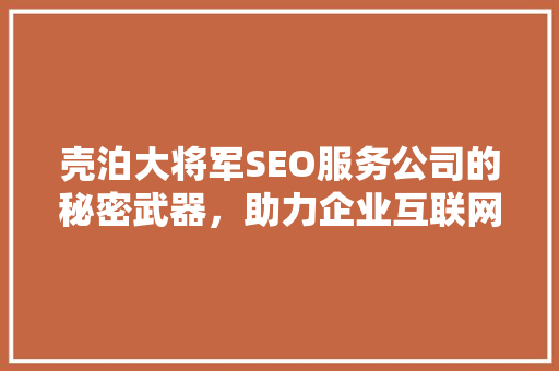 壳泊大将军SEO服务公司的秘密武器，助力企业互联网营销
