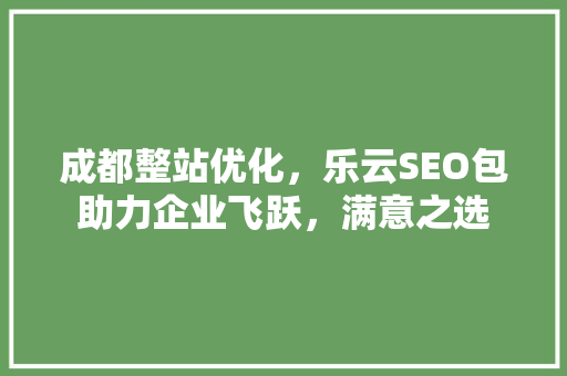 成都整站优化，乐云SEO包助力企业飞跃，满意之选