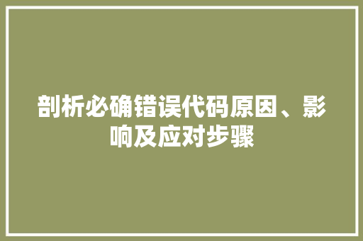 剖析必确错误代码原因、影响及应对步骤