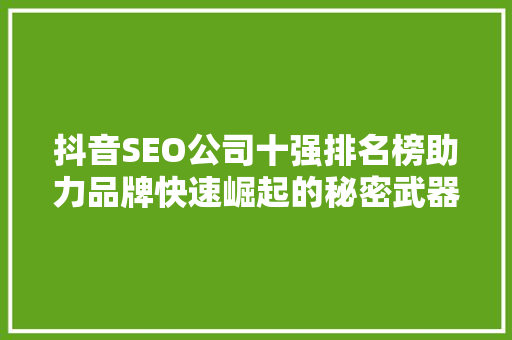 抖音SEO公司十强排名榜助力品牌快速崛起的秘密武器