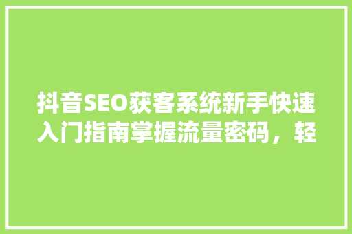 抖音SEO获客系统新手快速入门指南掌握流量密码，轻松实现精准获客