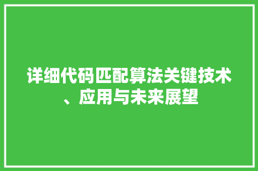 详细代码匹配算法关键技术、应用与未来展望