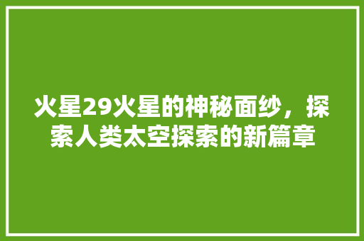 火星29火星的神秘面纱，探索人类太空探索的新篇章