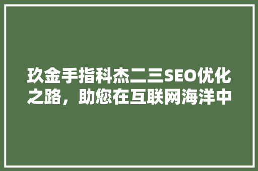 玖金手指科杰二三SEO优化之路，助您在互联网海洋中乘风破浪