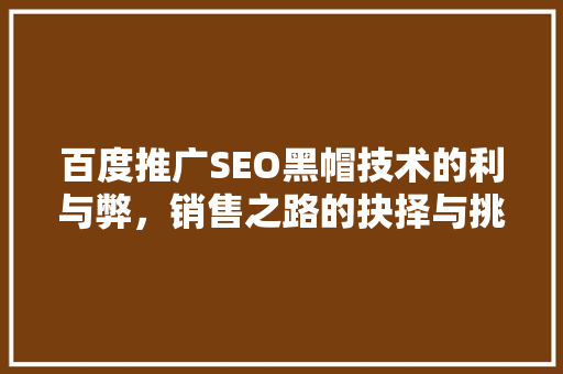 百度推广SEO黑帽技术的利与弊，销售之路的抉择与挑战