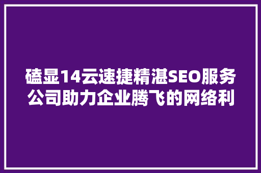 磕显14云速捷精湛SEO服务公司助力企业腾飞的网络利器
