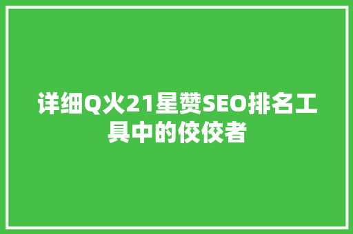 详细Q火21星赞SEO排名工具中的佼佼者