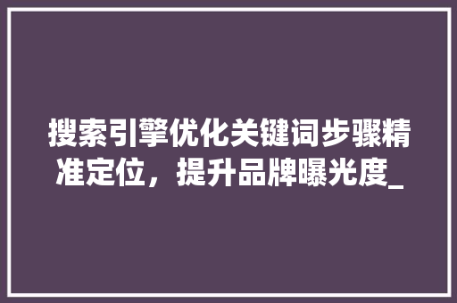 搜索引擎优化关键词步骤精准定位，提升品牌曝光度_搜索投放关键词优化