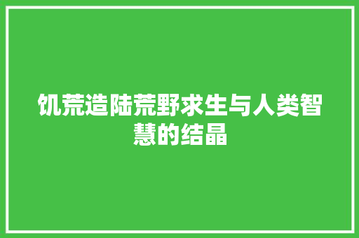 饥荒造陆荒野求生与人类智慧的结晶