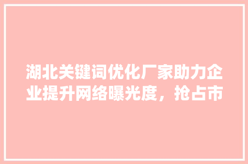 湖北关键词优化厂家助力企业提升网络曝光度，抢占市场先机_湖北关键词优化厂家
