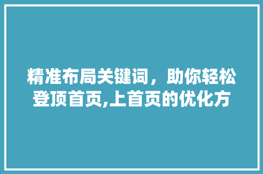精准布局关键词，助你轻松登顶首页,上首页的优化方法_关键词如何优化上首页