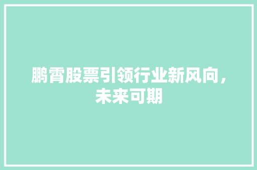 鹏霄股票引领行业新风向，未来可期  第1张