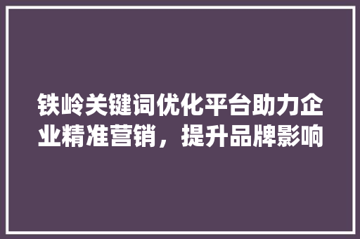 铁岭关键词优化平台助力企业精准营销，提升品牌影响力_铁岭关键词优化平台
