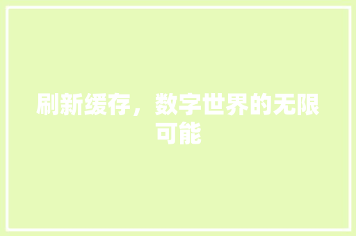 刷新缓存，数字世界的无限可能