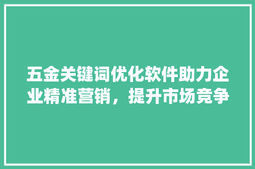 五金关键词优化软件助力企业精准营销，提升市场竞争力_五金关键词优化软件