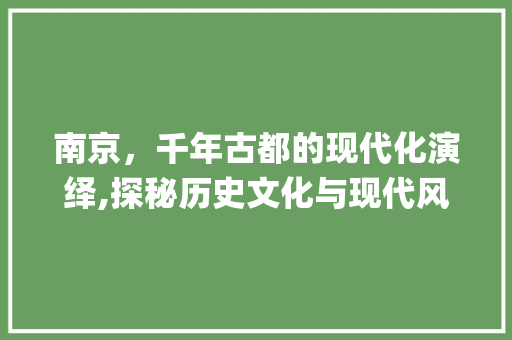 南京，千年古都的现代化演绎,探秘历史文化与现代风情的交融_南京关键词优化如何做