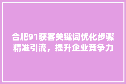 合肥91获客关键词优化步骤精准引流，提升企业竞争力_合肥91获客关键词优化  第1张