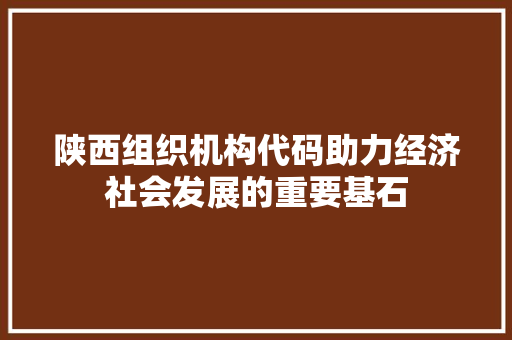 陕西组织机构代码助力经济社会发展的重要基石